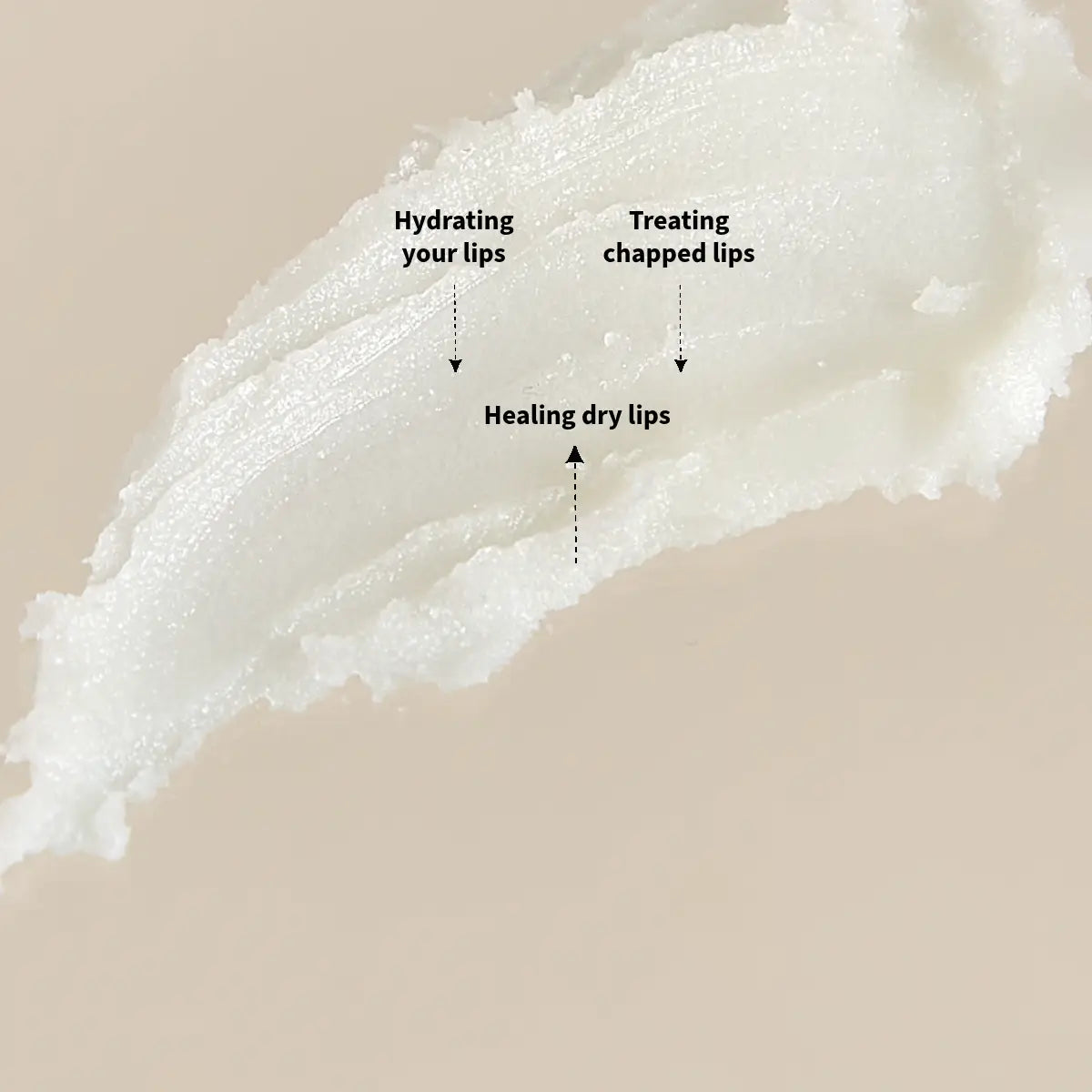 SknFed Shea Butter Lip Balm Rose 25gm