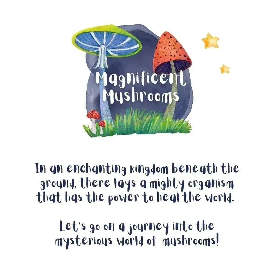 Children's Book Magnificent Mushrooms