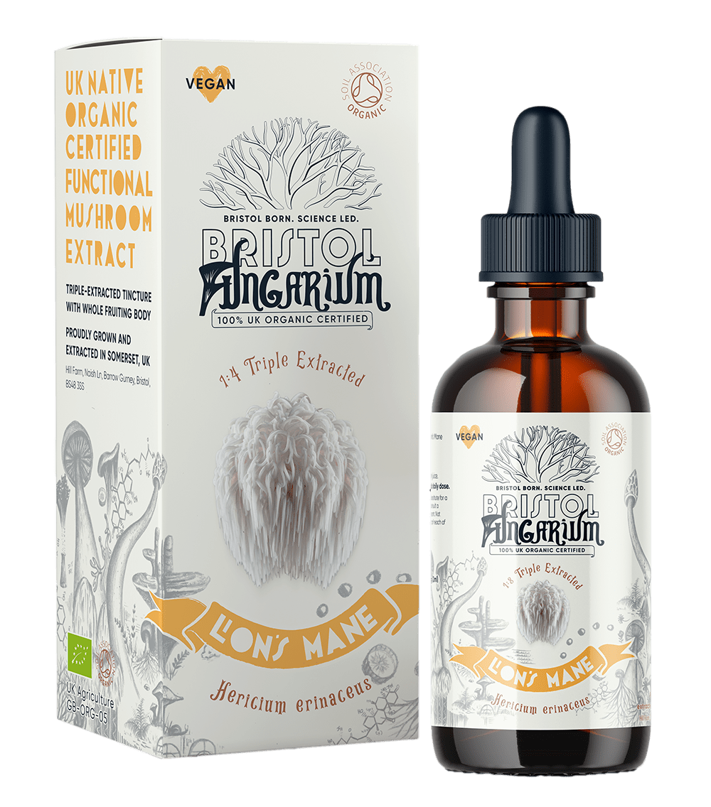 Best Lions Mane Mushroom Tincture